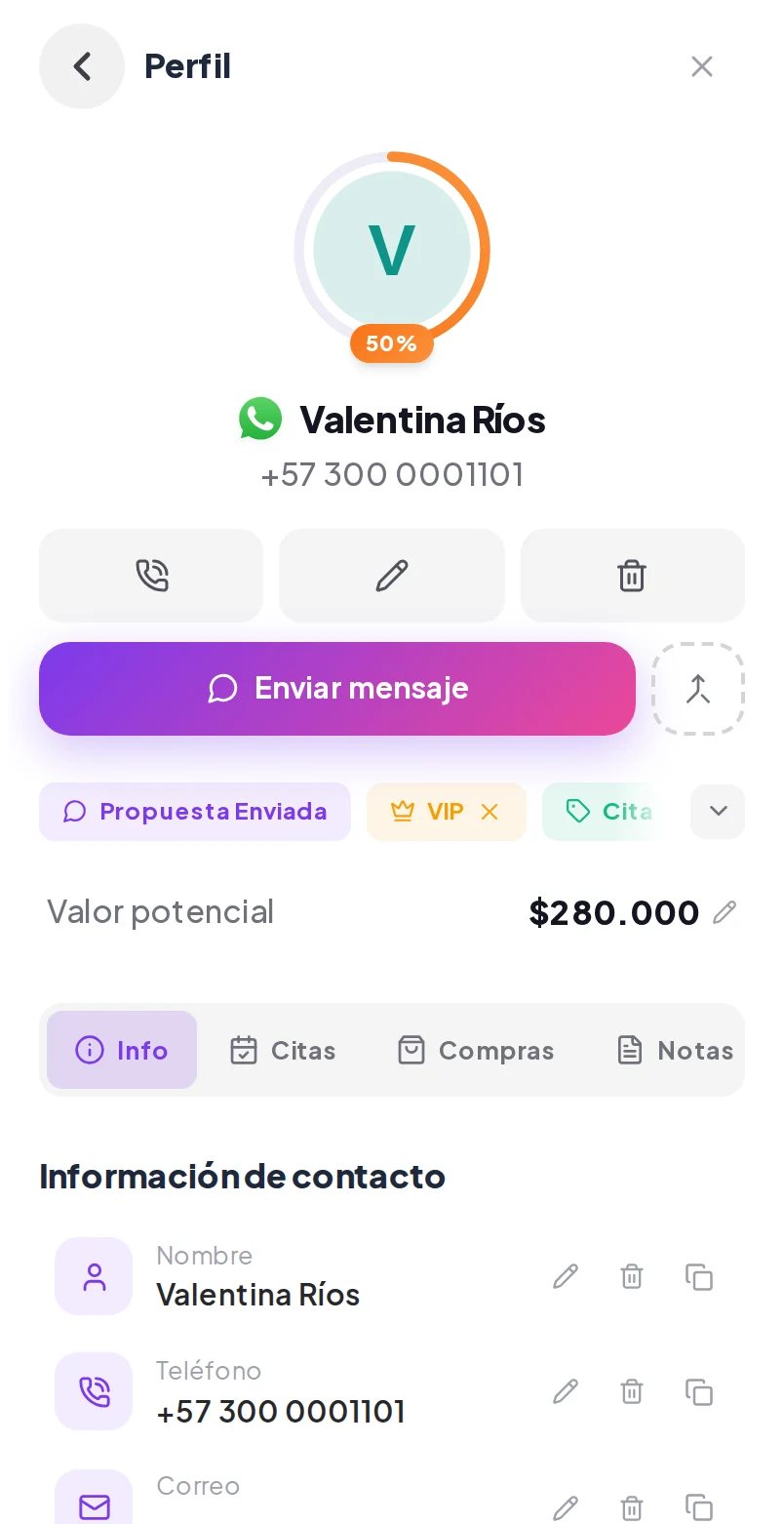 Ficha de la clienta en Wibbux: datos, etiquetas y valor potencial