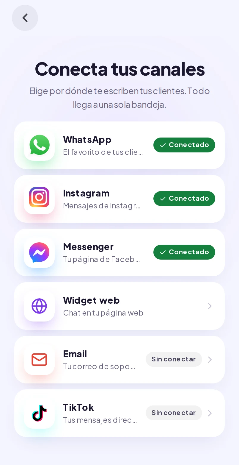 Pantalla de canales de Wibbux con WhatsApp, Instagram y Messenger conectados